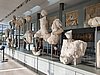 20200726_183820.jpg