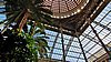 20210610_190239.jpg