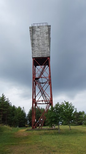 20210709_125906.jpg