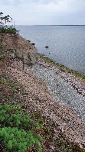 20210709_132440.jpg