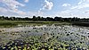 20210710_153348.jpg