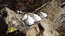 20221108_095840.JPG