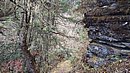 20221108_103933.JPG