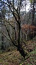 20221108_105004.JPG