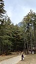 20221113_083412.JPG
