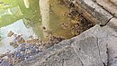 20220625_141416.jpg