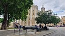 20220627_111019.jpg