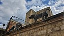 20220627_112021.jpg