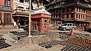 20221104_131200.JPG