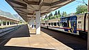 20240814_092339.JPG