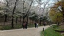 20240406_161300.JPG
