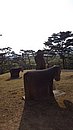 20240406_162919.JPG