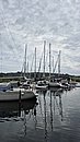 20250713_115405.jpg