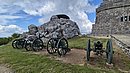 20250529_110106.jpg