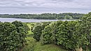 20250709_182629.jpg