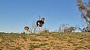 20260108_094315.jpg
