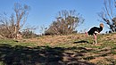 20260108_094332.jpg
