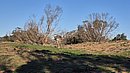 20260108_094337.jpg
