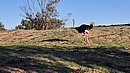 20260108_094340.jpg