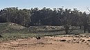 20260108_095638.jpg