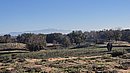 20260108_095745.jpg