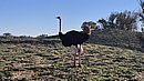 20260108_095953.jpg