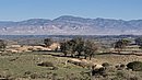 20260108_101334.jpg