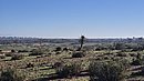 20260108_102547.jpg