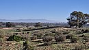 20260108_103045.jpg