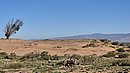 20260108_103659.jpg