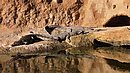 20260109_100904.jpg