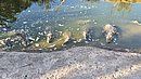 20260109_101221.jpg