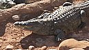 20260109_101749.jpg