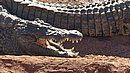 20260109_101802.jpg