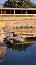 20260109_102349.jpg