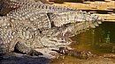 20260109_102532.jpg