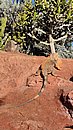 20260109_104028.jpg