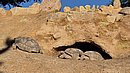 20260109_104430.jpg