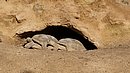 20260109_104510.jpg