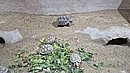 20260109_105211.jpg