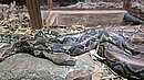 20260109_105515.jpg