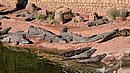 20260109_105737.jpg