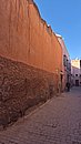 20260110_105417.jpg