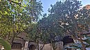 20260110_120029.jpg