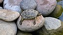 20260111_165111.jpg