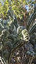 20260112_120555.jpg